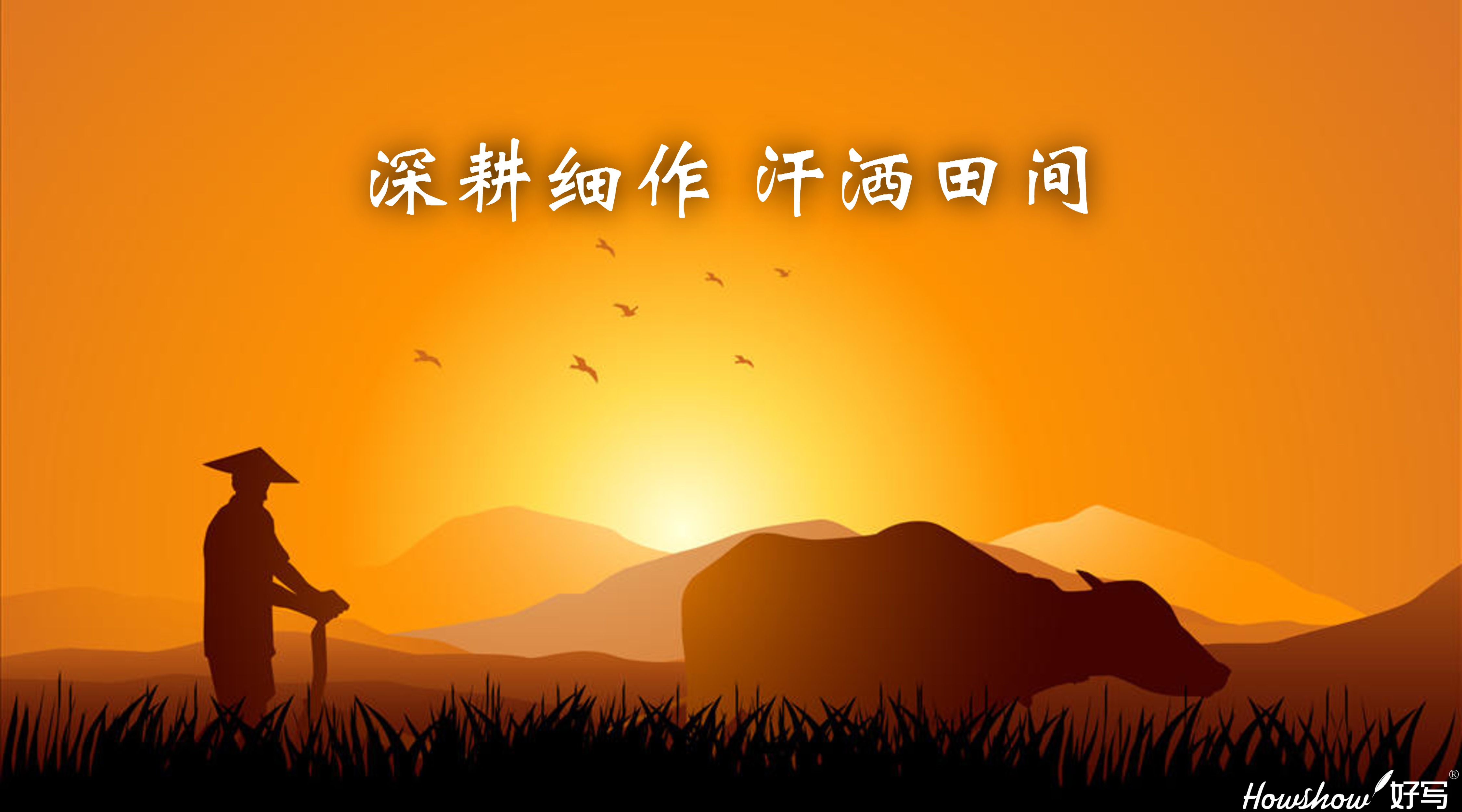 深耕細(xì)作·汗灑田間 ‖ 一場從內(nèi)到外的革新，正在好寫拉開帷幕！